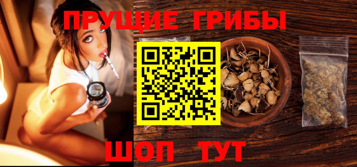 Псилоцибиновые грибы мицелий  Галлюциногенные грибы прущие грибы  Луга  Вход с VPN 